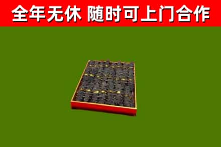 奉贤区回收海参